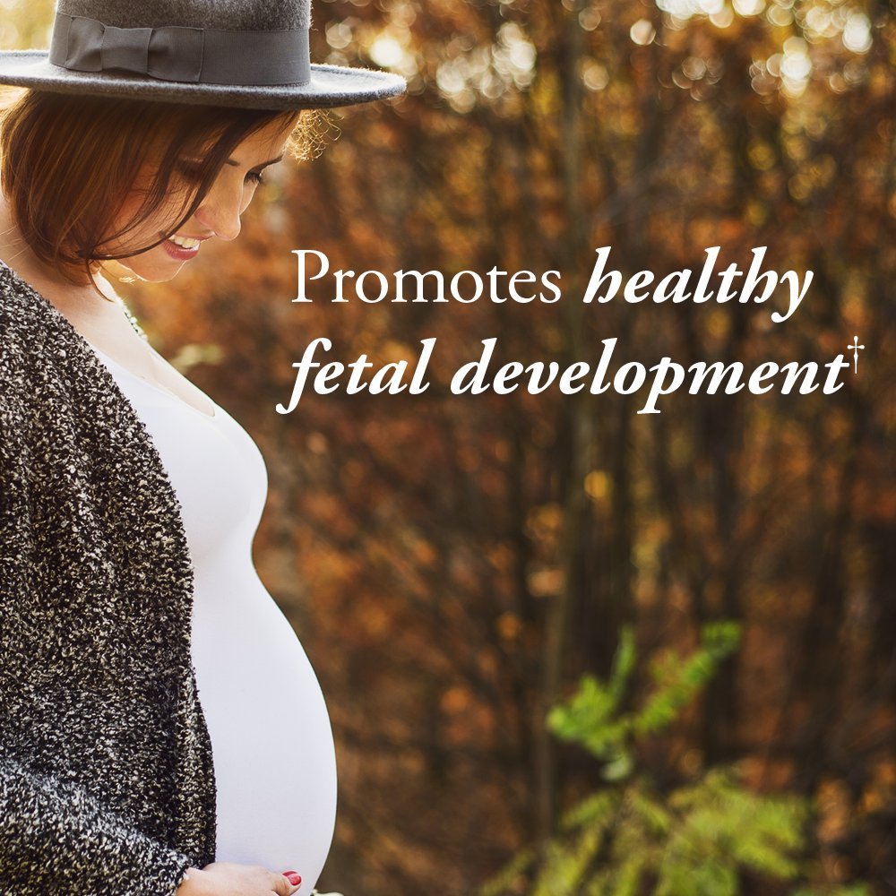 Garden of Life Once Daily Vegan DHA + Prenatal Multi Bundle: Dr Formulated Vegan DHA