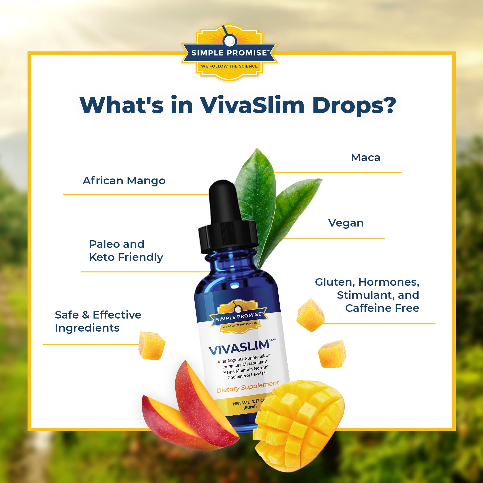 Simple Promise - VivaSlim - Natural Liquid Drops with African Mango, 2 fl oz Simple Promise