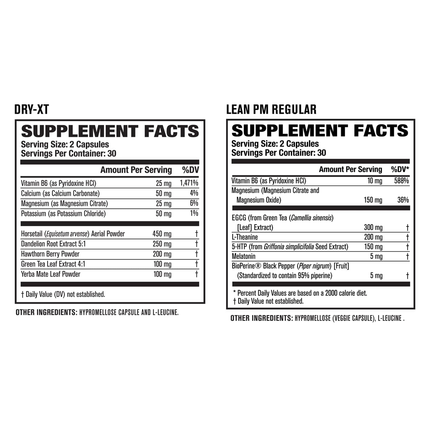 Thermogenic Fat Burner Weight Loss Supplements: Burn-XT Thermogenic