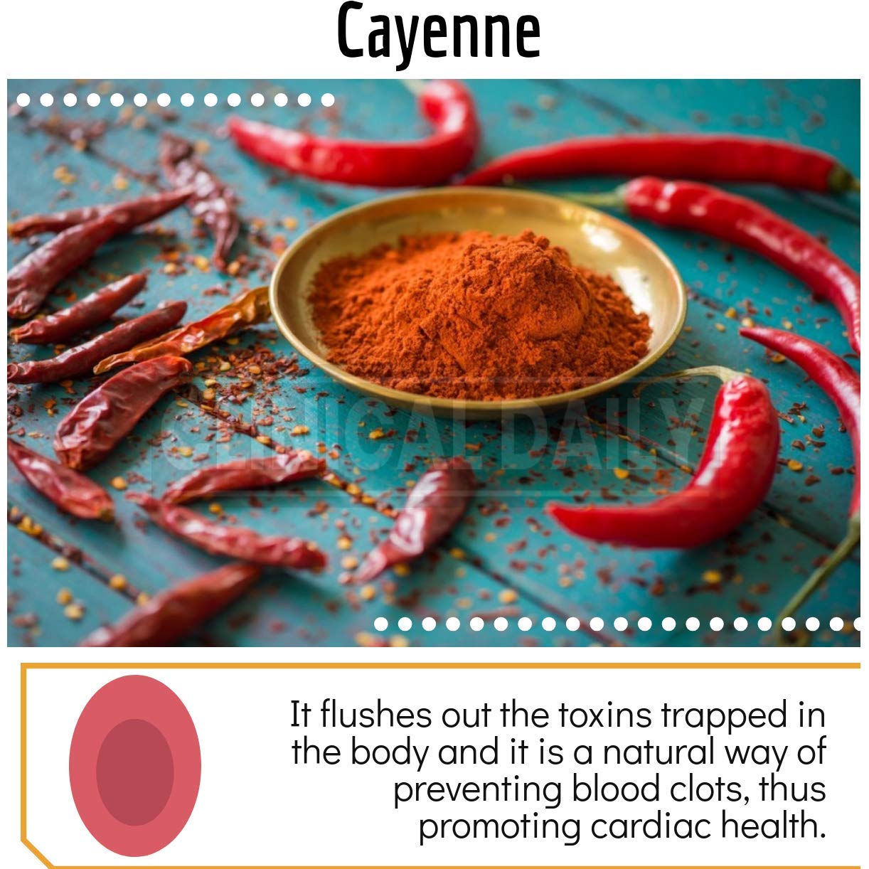 Clinical Daily Blood Circulation Supplements. Butchers Broom, Horse Chestnut, Hawthorn Clinical Daily