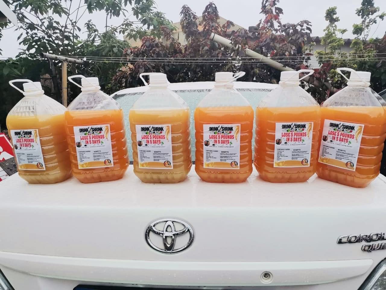 4 Week drink2Shrink Detox Formula Start Losing That Stubborn Belly Fat! (Green Apple) Heath Secret