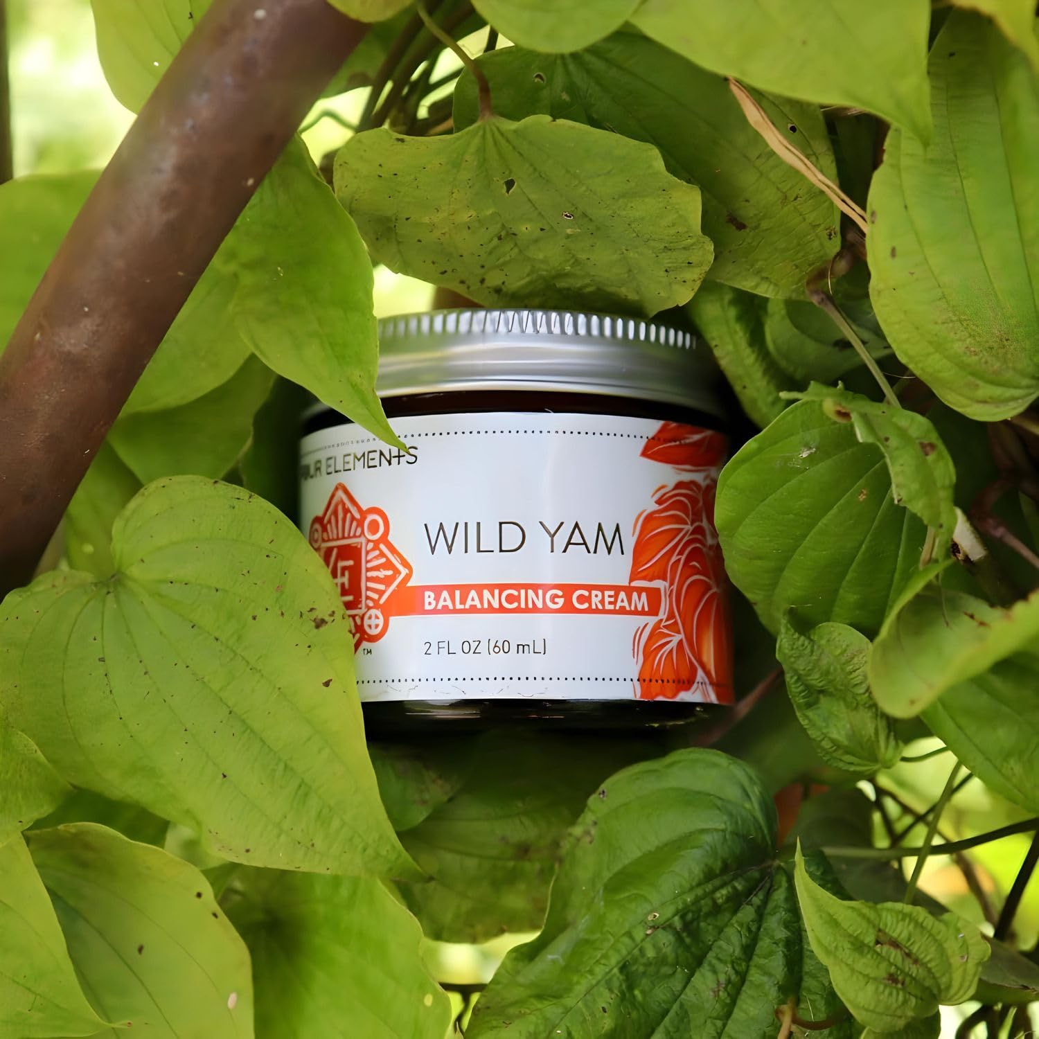 Four Elements 4E Wild Yam Organic Balancing Cream for Women -1st Place Winner Four Elements 4E