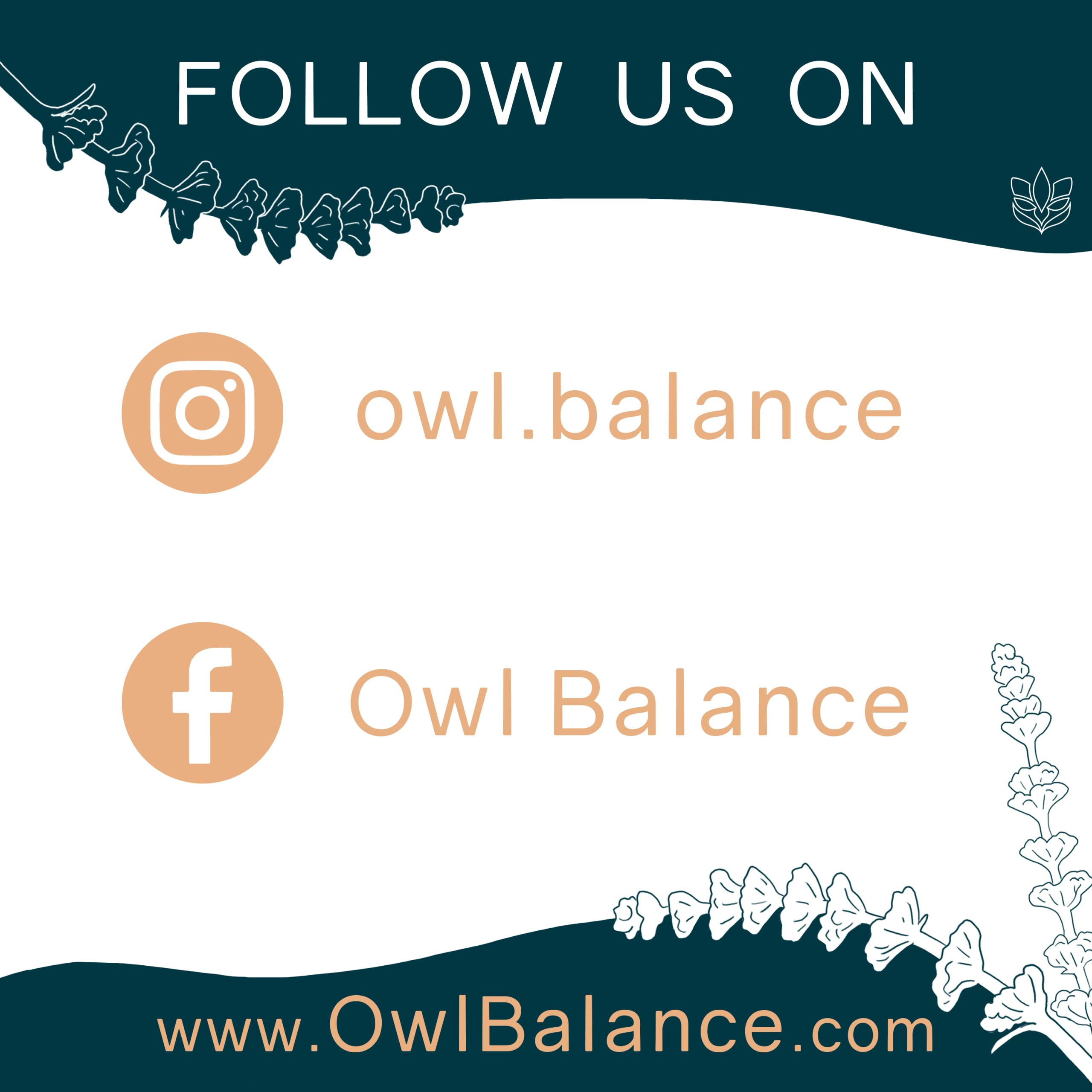 OWL Balance - Menopause Support for Women - Menopause + Perimenopause Relief OWL Balance
