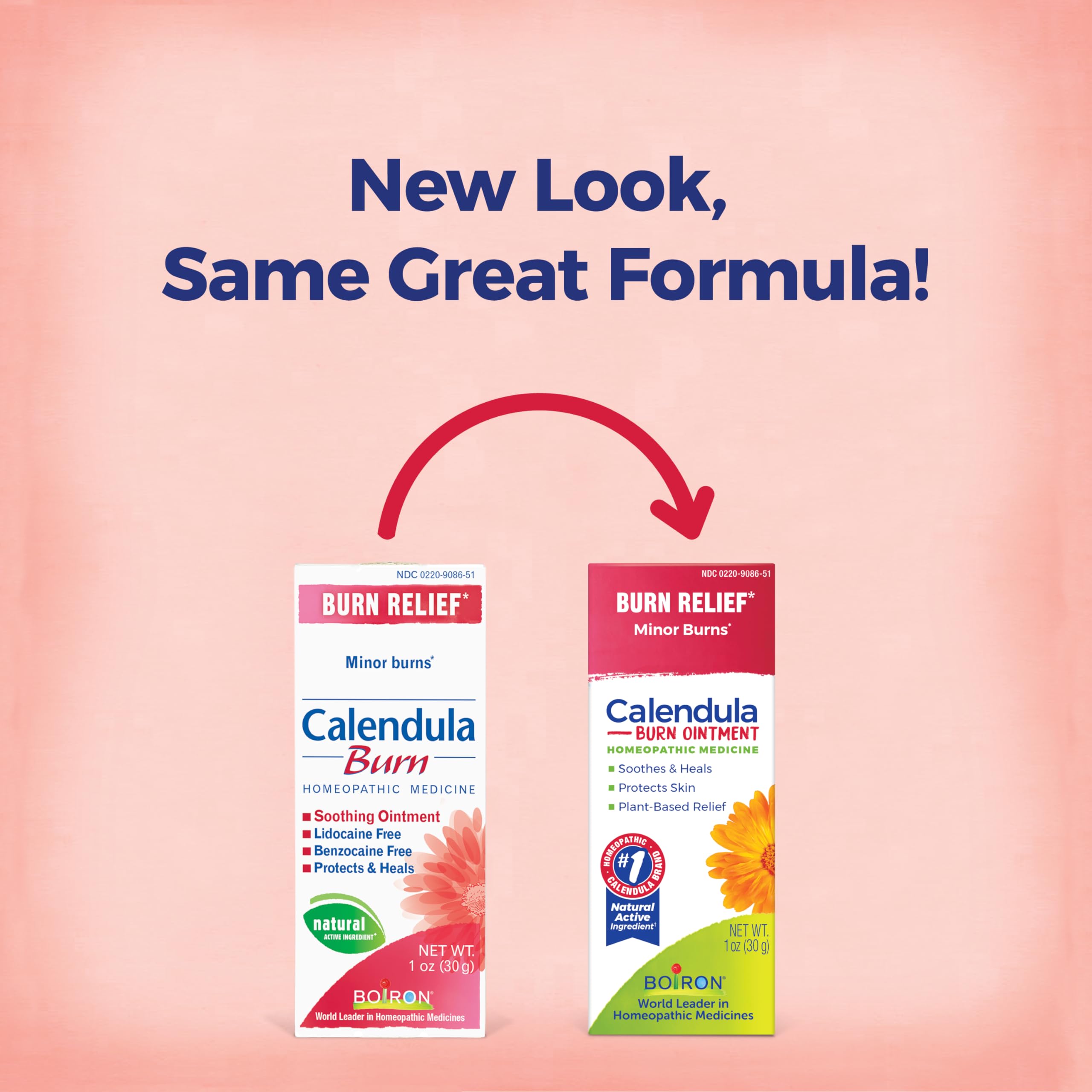 Boiron Calendula Burn Ointment for Relief from Minor Burns from Cooking, Friction, or Sunburns - 1 oz Boiron