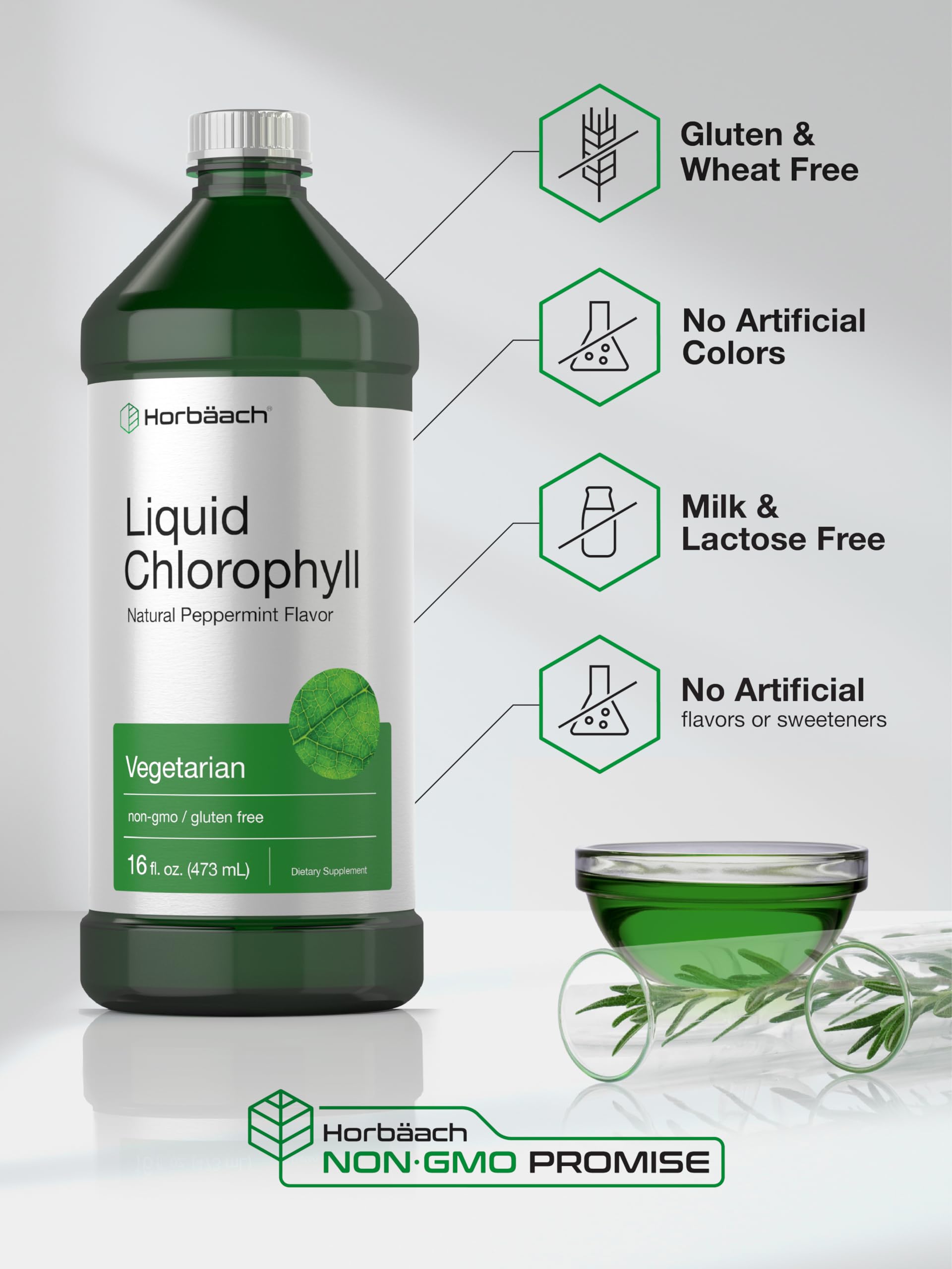 Chlorophyll Liquid Drops 100mg | 32 oz (2 x 16 oz Bottles) | Natural Peppermint Flavor Horbäach