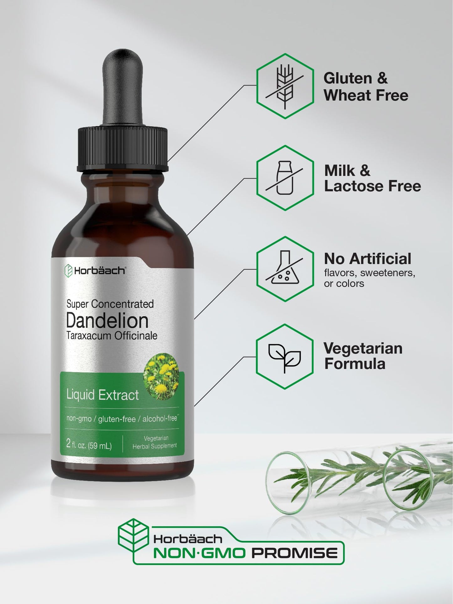 Dandelion Root Extract | 2 fl oz | Super Concentrated | Alcohol Free Liquid Tincture