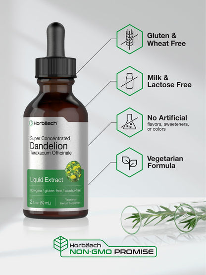 Dandelion Root Extract | 2 fl oz | Super Concentrated | Alcohol Free Liquid Tincture