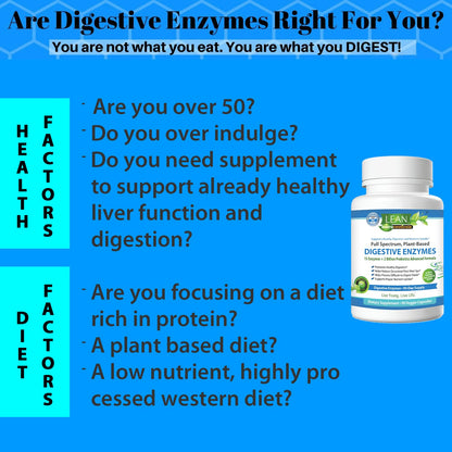 Digestive Enzymes with Probiotics, 90 Day Gut Health Supplement, 90 Cap