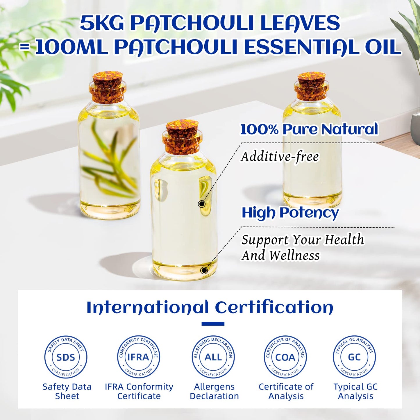 HIQILI Patchouli Essential Oil 100ML, Pure Natural, for Perfume Making, Diffuser and Skin
