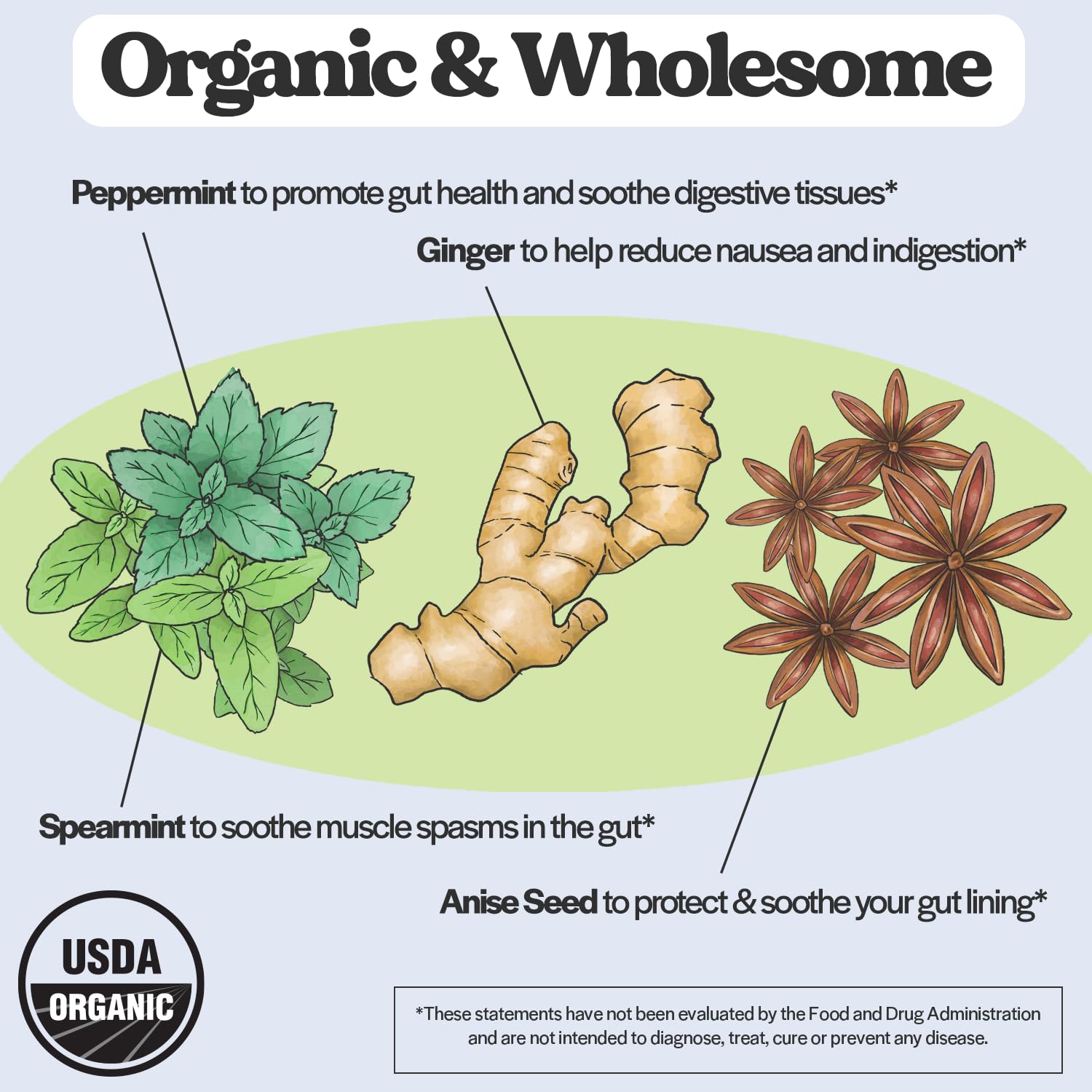 Wholesome Story Morning Sickness Bundle: Premium Bioavailable Prenatal & Postnatal Vitamins Wholesome Story