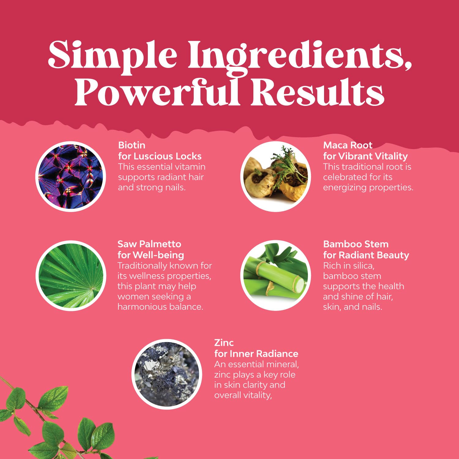 Natures Craft Bundle of Herbal Menopause Supplement and Extra Strength Saw Palmetto for Women Natures Craft