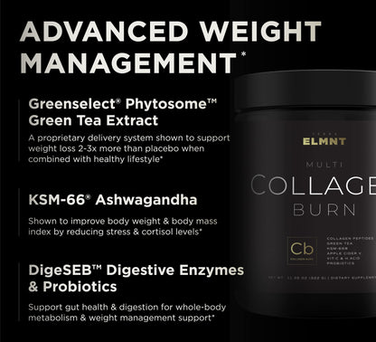 TERRA ELMNT Premium Chocolate Multi Collagen Powder for Women Weight Management