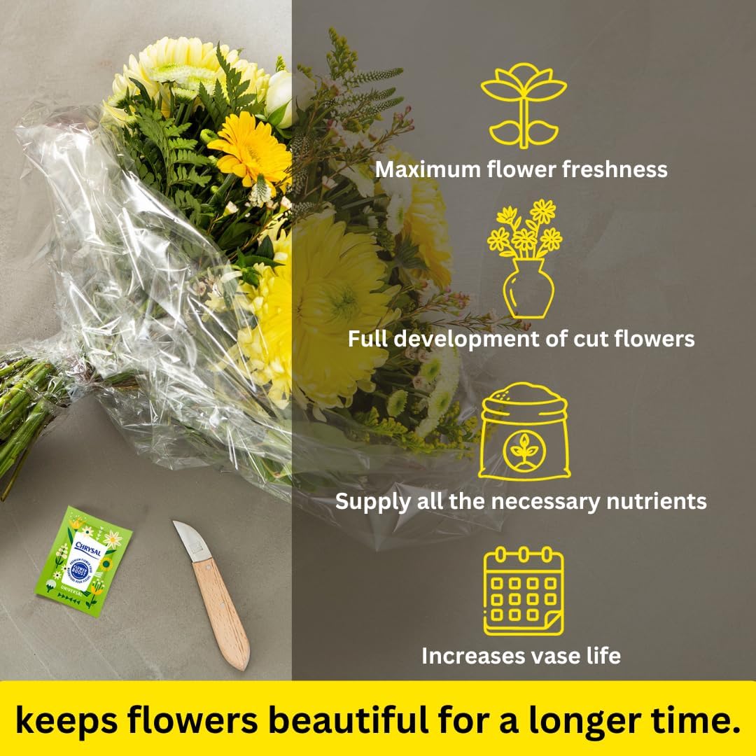 Chrysal Clear Flower Food Packets – Single Packet – Flower Arrangements & Bouquets – Floral Supplies Chrysal