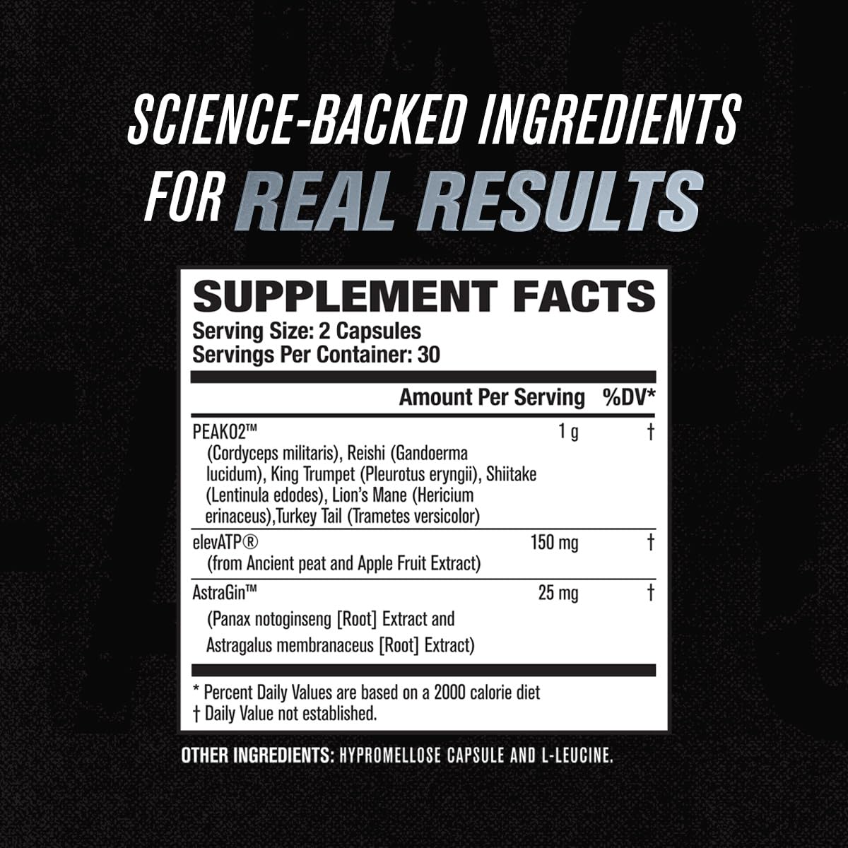 Jacked Factory Muscle Builder Supplement Stack - Build-XT Muscle Builder & N.O. XT Nitric Oxide Boosting Agent for Dual Muscle Building Support (30 Day Supply)