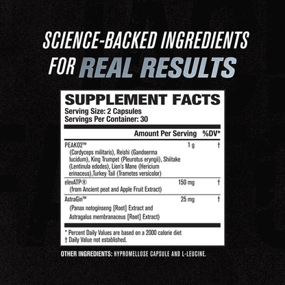 Jacked Factory Muscle Builder Supplement Stack - Build-XT Muscle Builder & N.O. XT Nitric Oxide Boosting Agent for Dual Muscle Building Support (30 Day Supply)