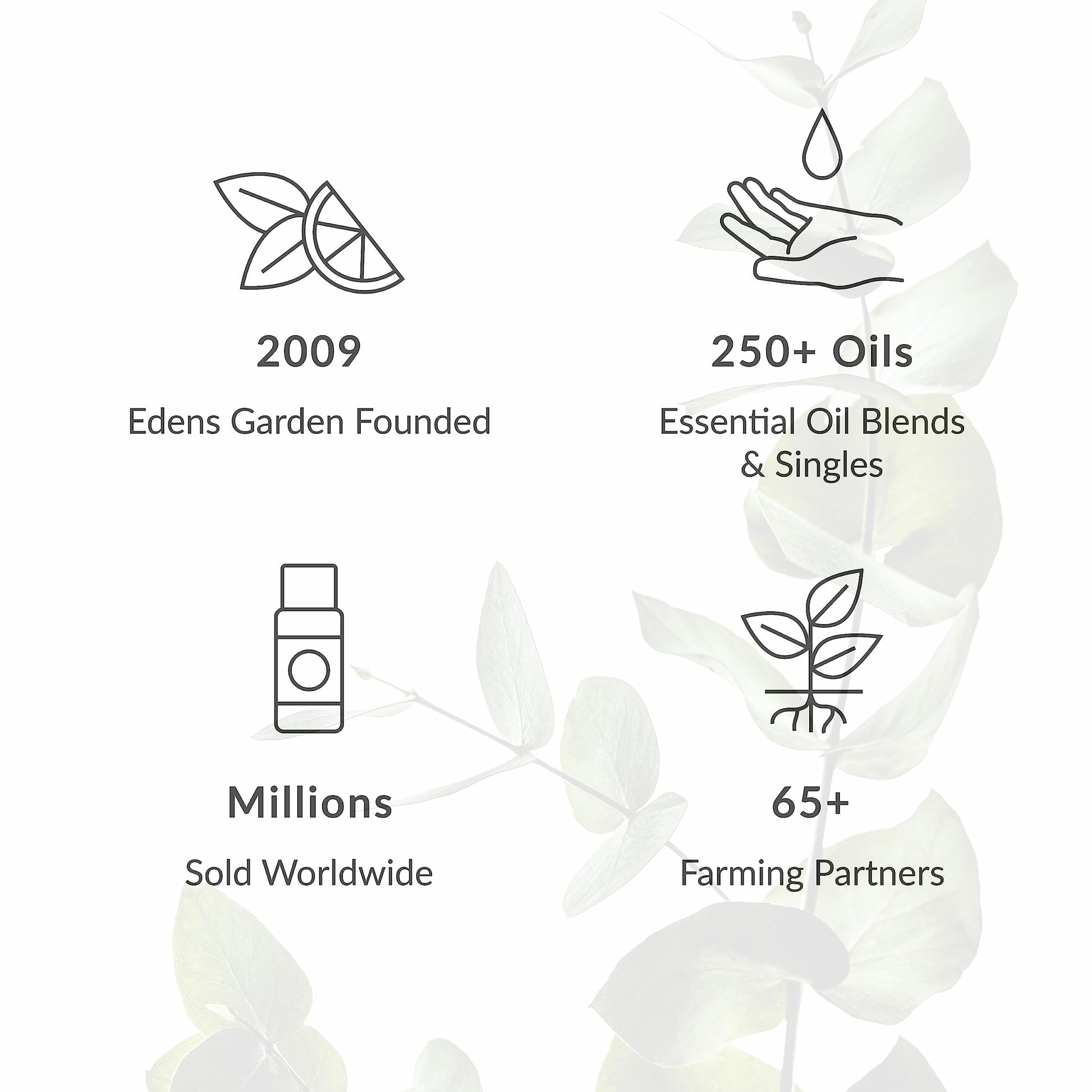 Edens Garden Essential Oil Roll-On Set (Good Night, Peppermint, Stress Less)- Aromatherapy Roller Edens Garden