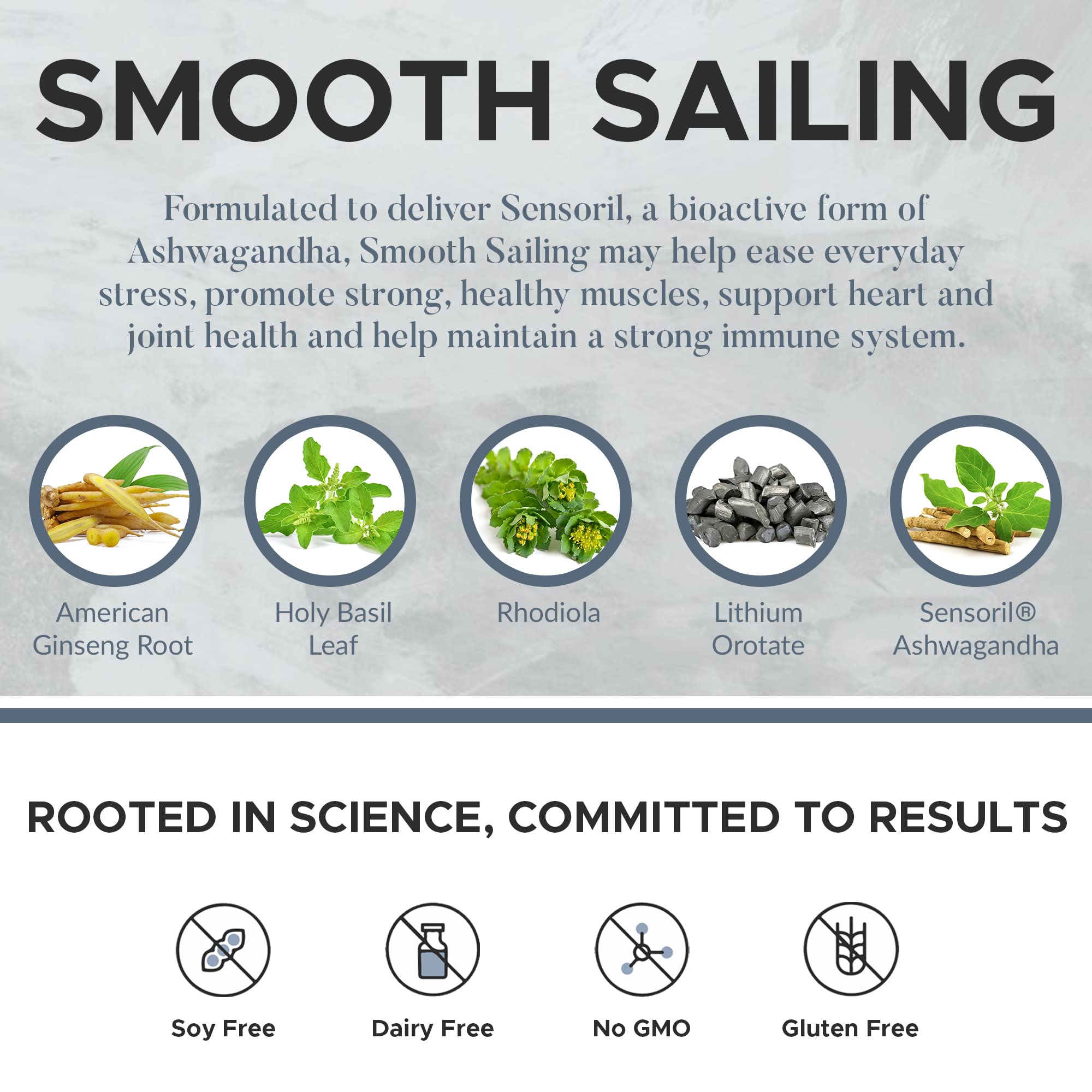 Mechanism Wellness Post-Menopausal Support Supplements - Hormonal Balance, Vitamin B12 1000mcg