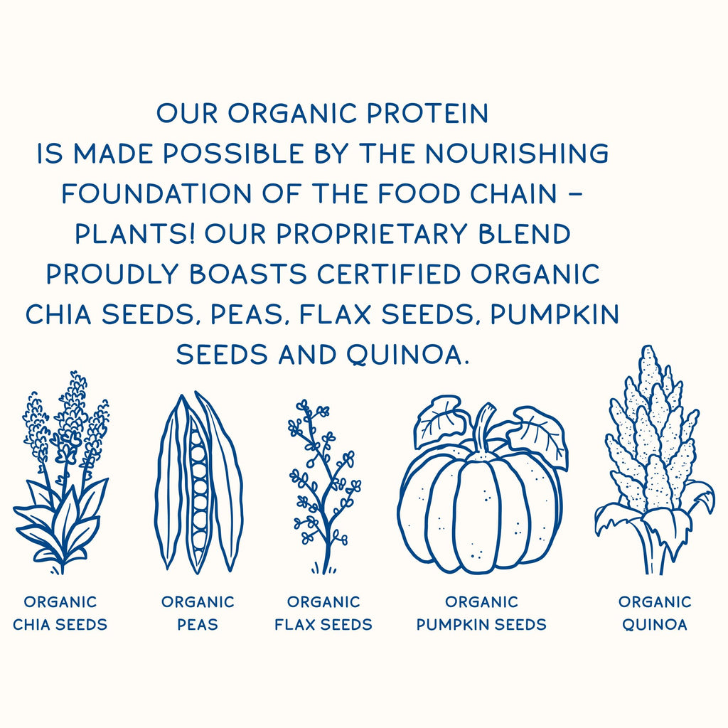 KOS Plant Based Protein Powder, Blueberry Muffin - Organic Pea Protein Superfood