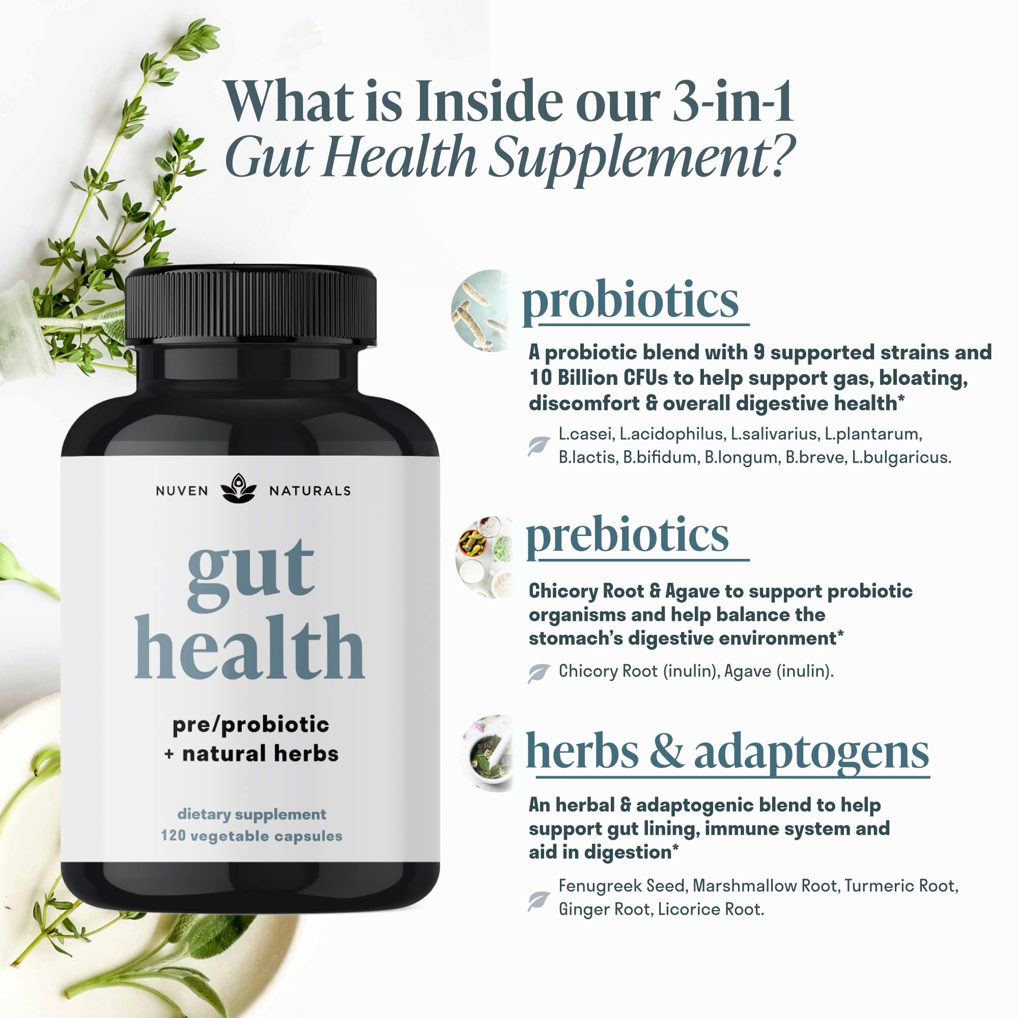 Nuven Naturals All-in-One Gut Health w/Probiotics, Prebiotics, Digestion-Supporting Nuven Naturals