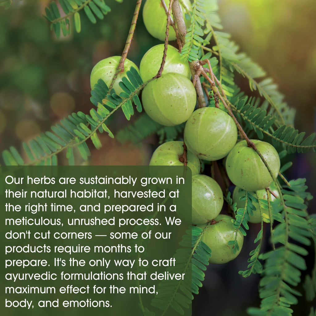 Maharishi Ayurveda - Midlife for Women I Women's Health Herbal Supplement