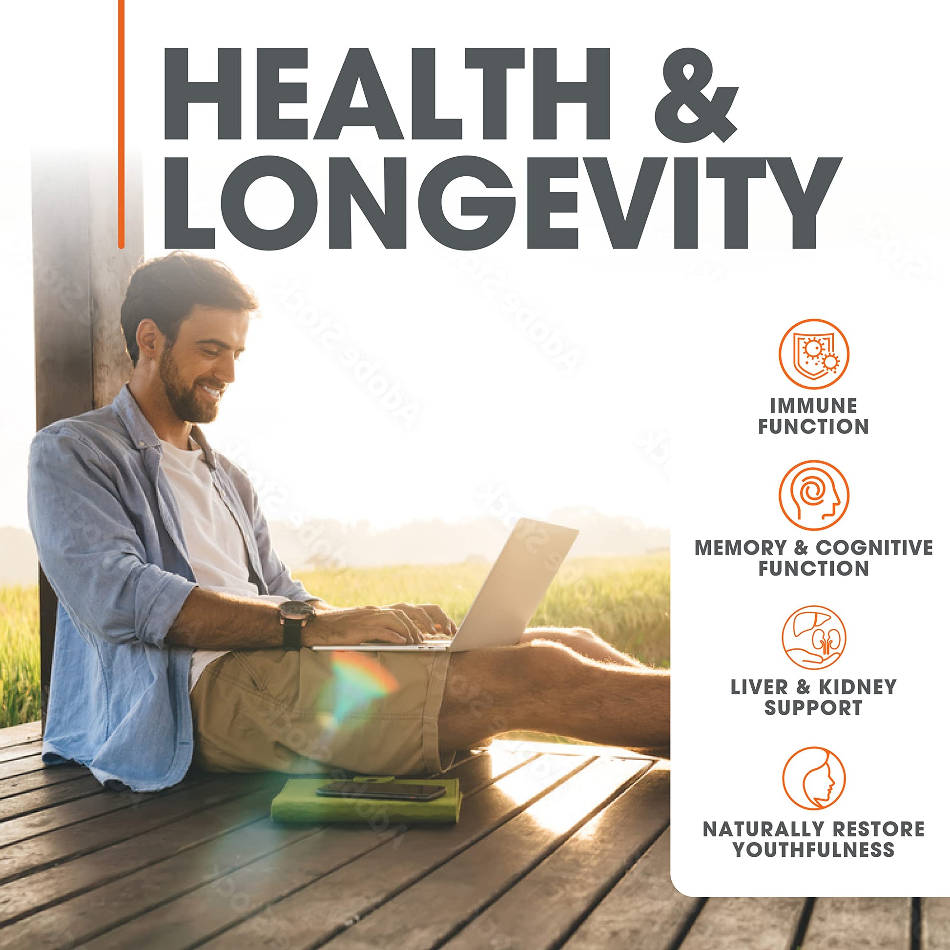 The Genius Brand - Lions Mane, Cordyceps and Reishi- Genius Mushroom The Genius Brand