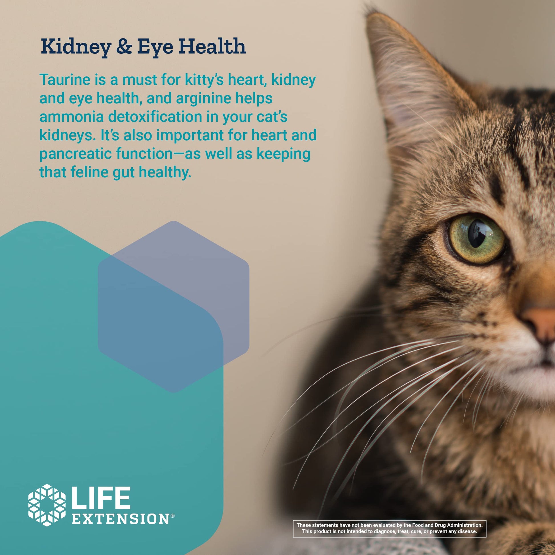 Life Extension Cat Mix – For Heart, Kidney & Pancreatic Function + Gut Health Life Extension