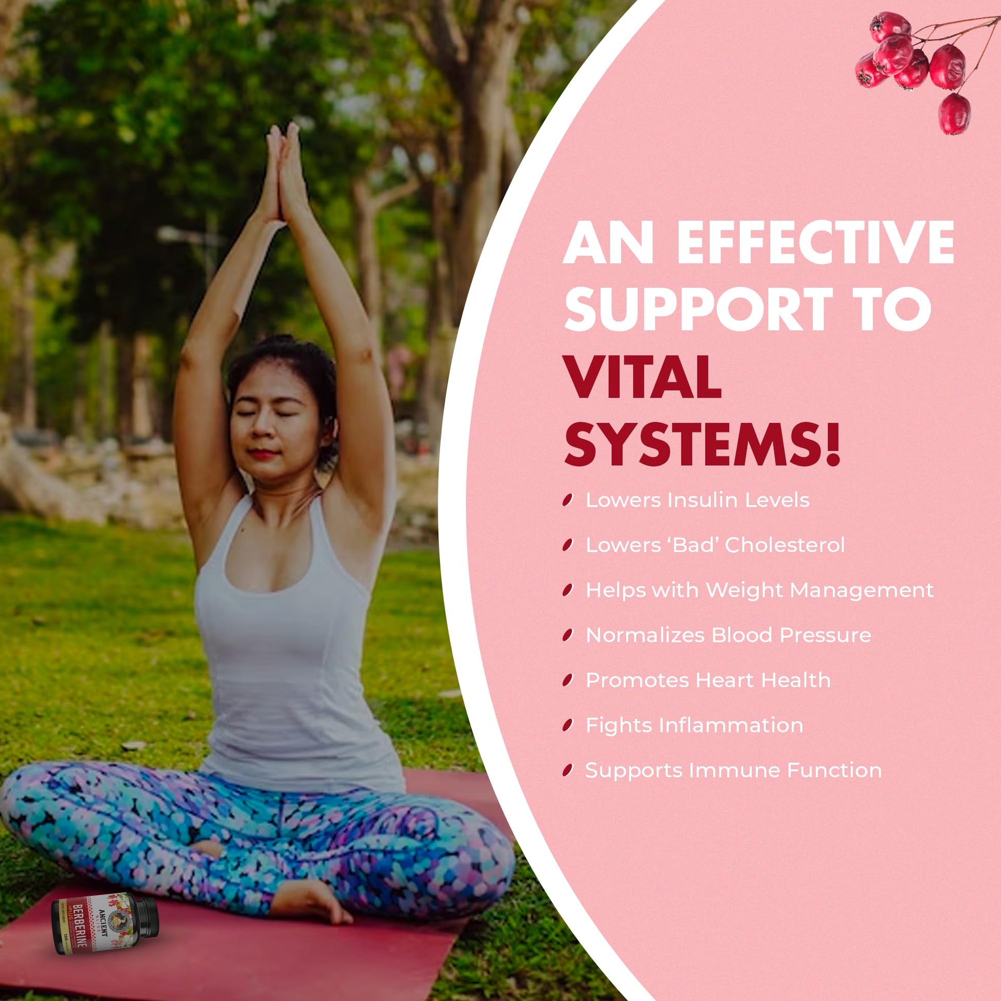 Ancient Bliss Berberine HCL 1200mg with Ceylon Cinnamon, Bitter Melon, and Green Tea Ancient Bliss