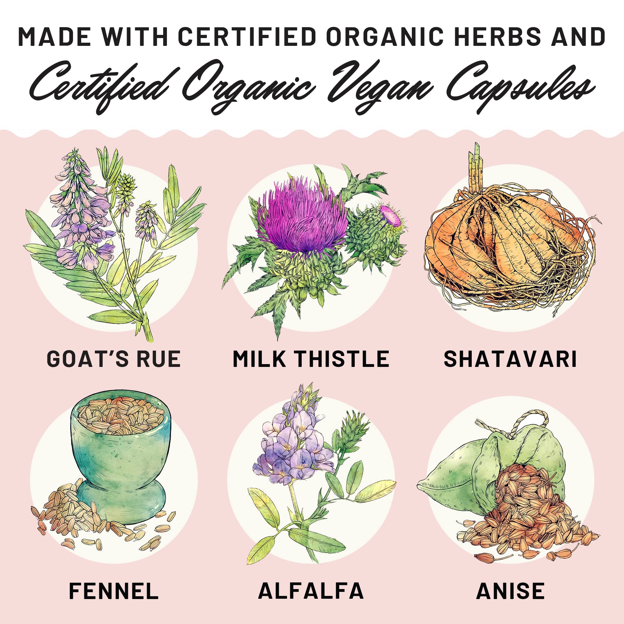 Legendairy Milk Liquid Gold Lactation Supplement, Organic Goat's Rue Lactation