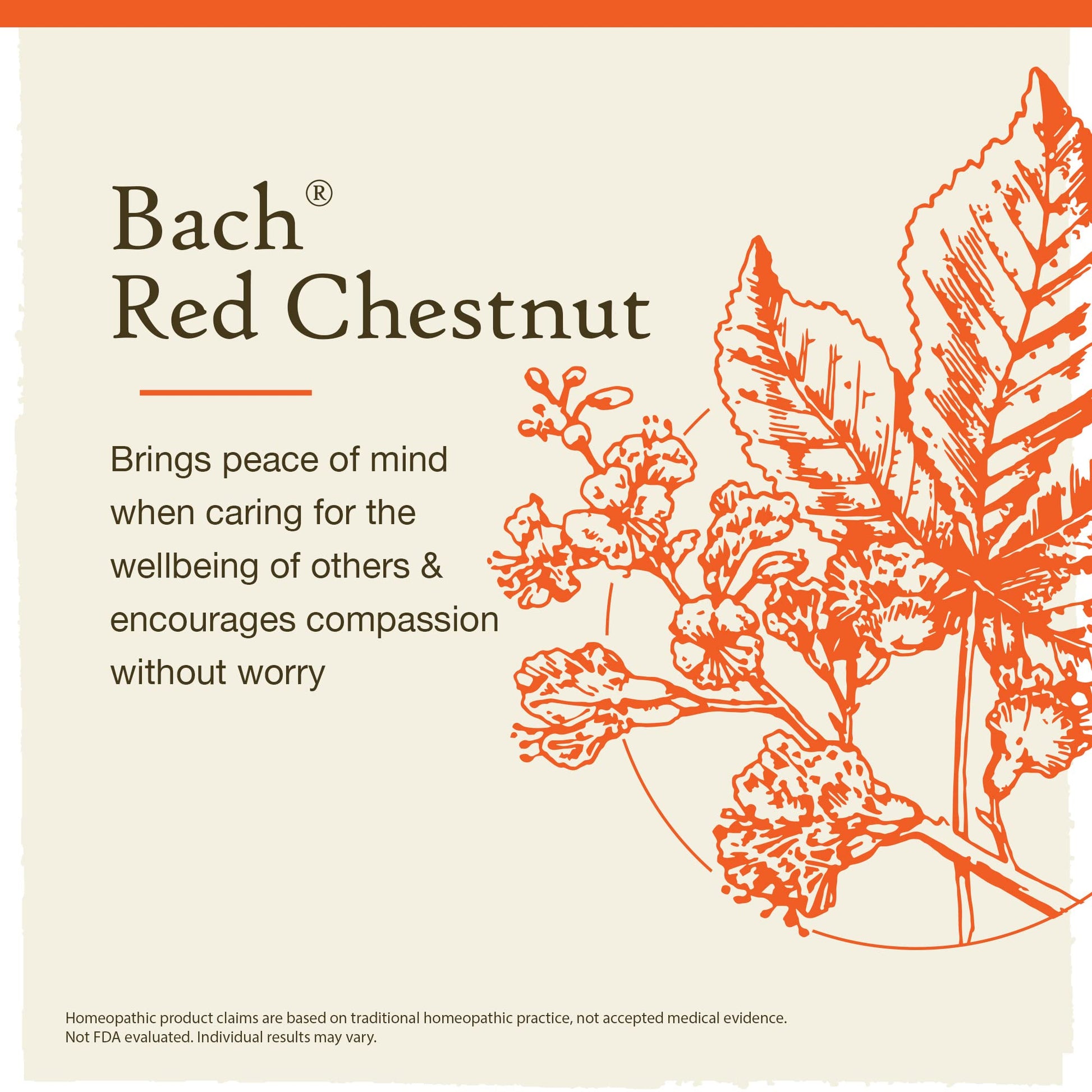 Bach Original Flower Remedies, Red Chestnut for Peace of Mind (Non-Alcohol Formula) Bach