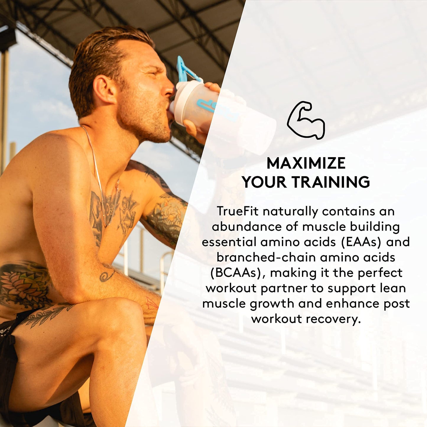 TrueFit Meal Replacement Shake Protein Powder, Grass Fed Whey + Organic Fruits