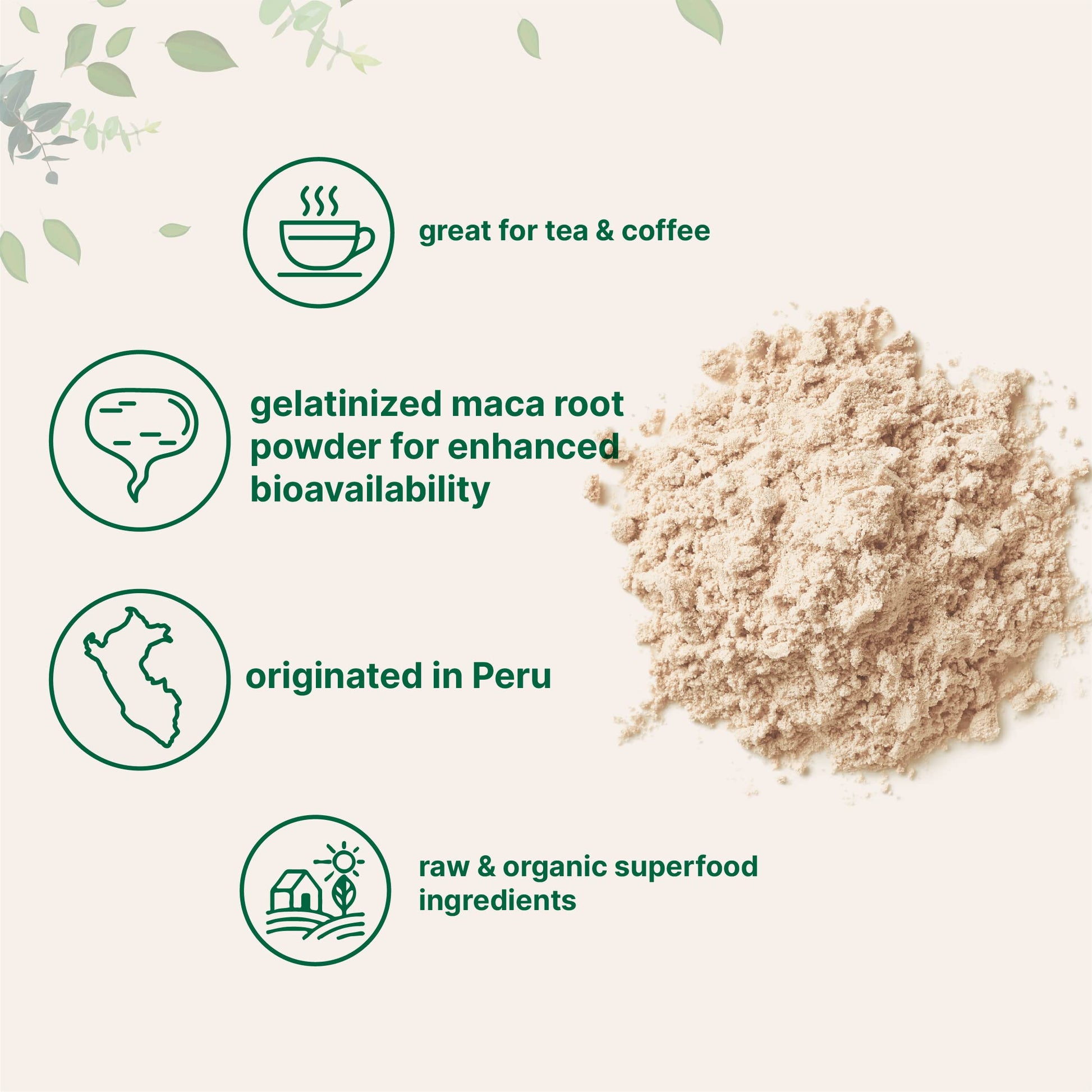 Organic Maca Root Powder, 2 Pound, Gelatinized for Better Absorption Micro Ingredients
