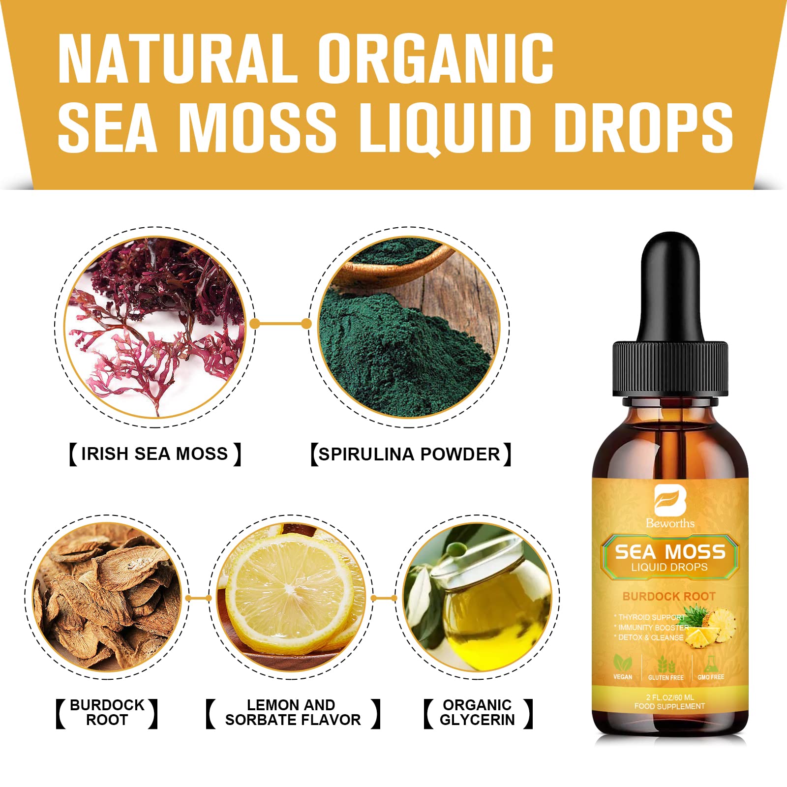 B BEWORTHS Sea Moss Liquid Drops - Organic Irish Sea Moss Gel with Burdock Root B BEWORTHS