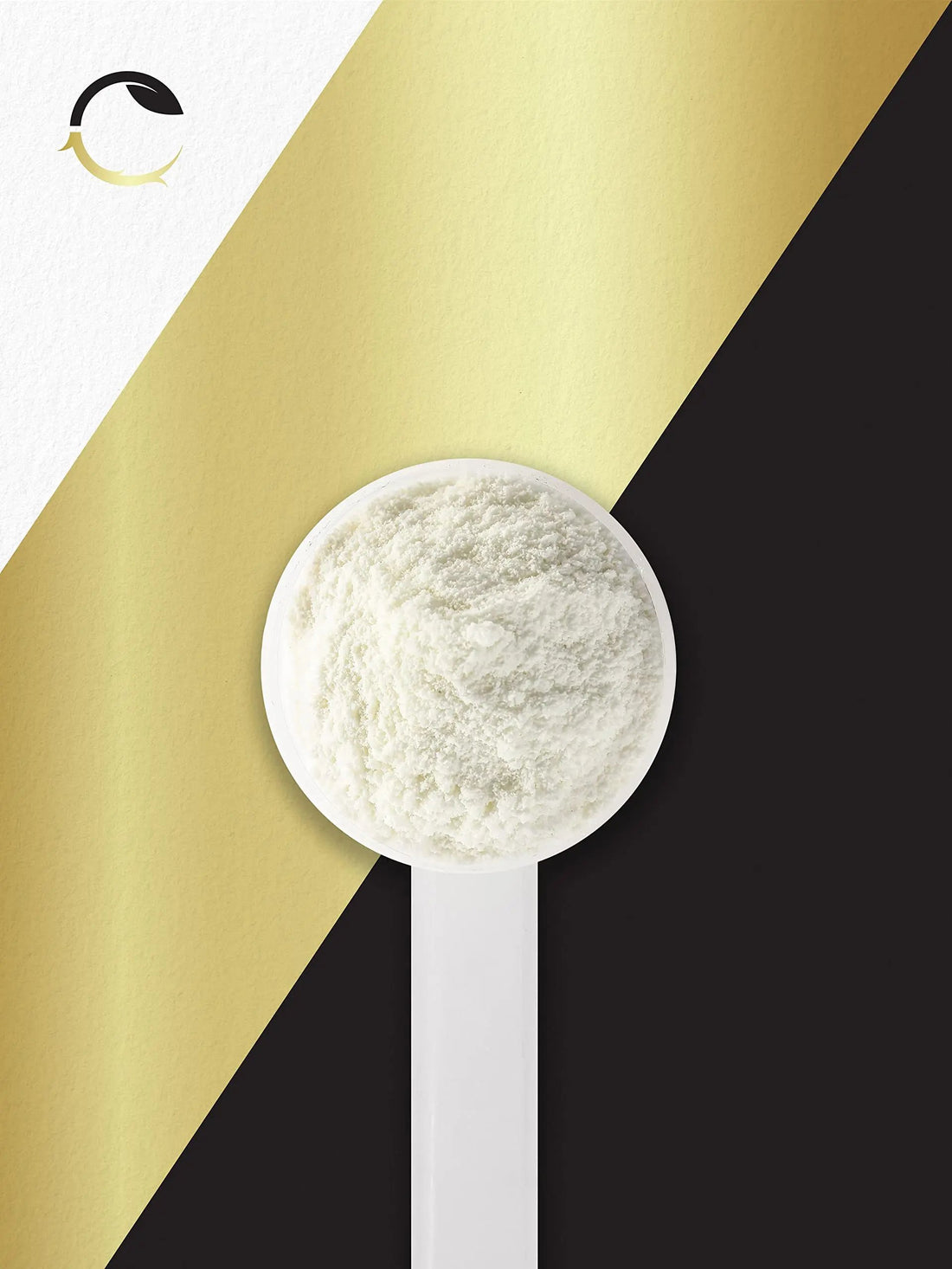 Carlyle Stim Free Pre Workout Powder | BCAA Amino Acids | 7g BCAA | Fruit Punch Flavor