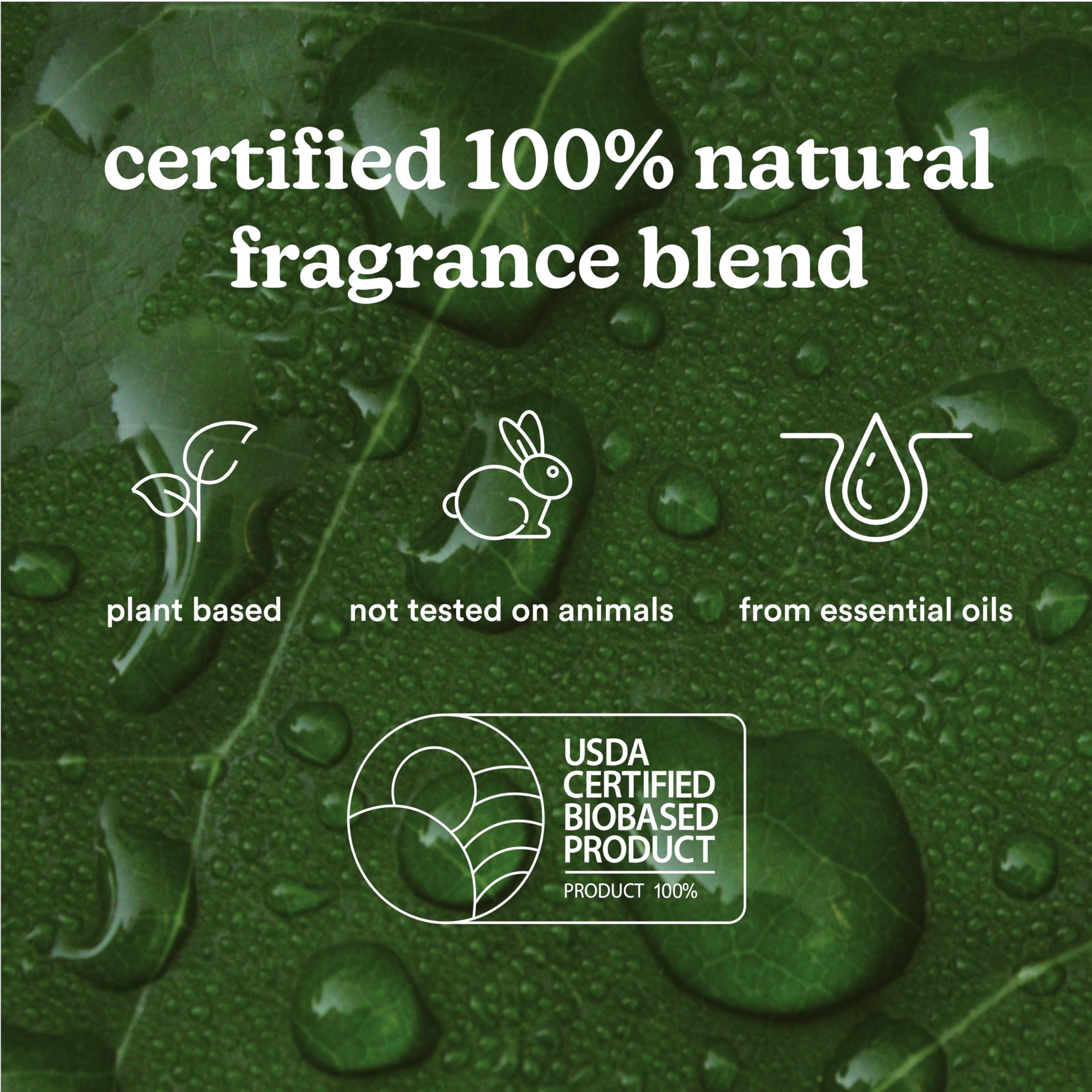 Homedics SereneScent Moroccan Magic Fragrance Oil Bottle, 120 ml, Clean & Natural, Fruity & Woody Homedics