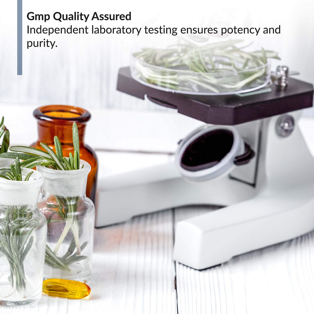 BioTrust OmegaKrill EPA & DHA Omega 3 Supplement, Fish and Krill Oil to Provide 