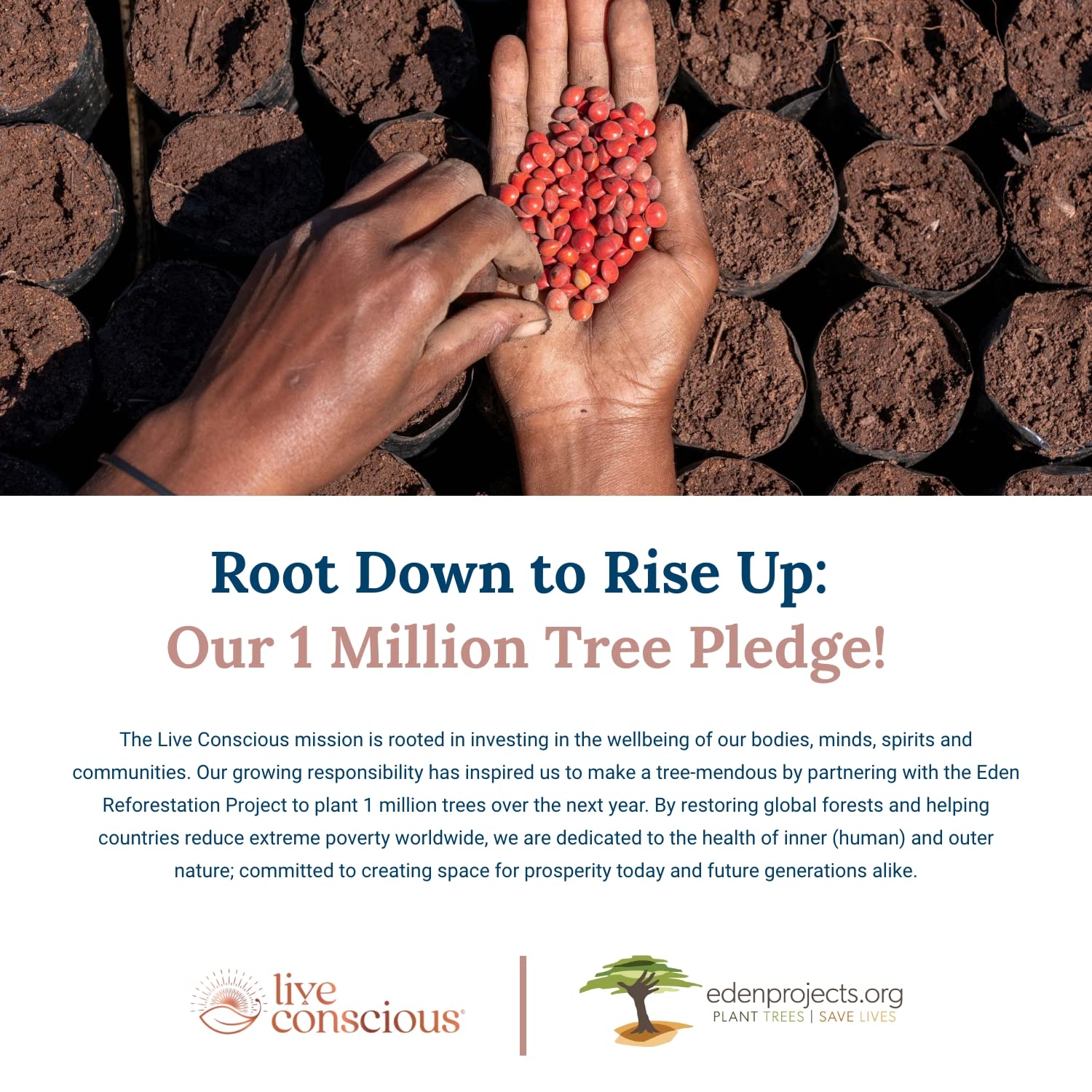 Live Conscious Beyond Collagen Multi Collagen Capsules - Types I, II, III, V & X Live Conscious