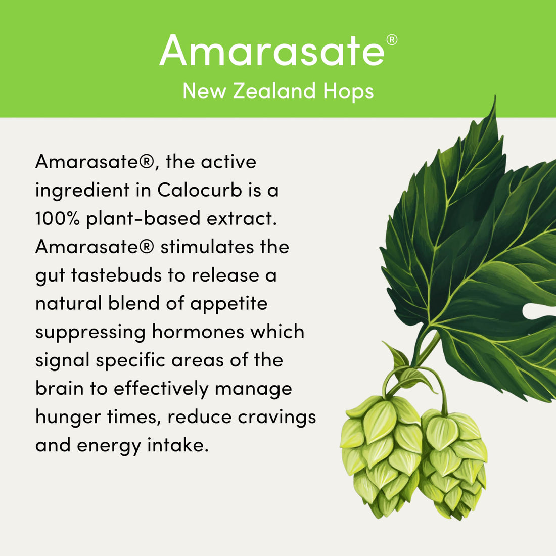 Calocurb Calorie Control Supplement, Natural GLP-1 Activator, 90 Count (1 Month Average