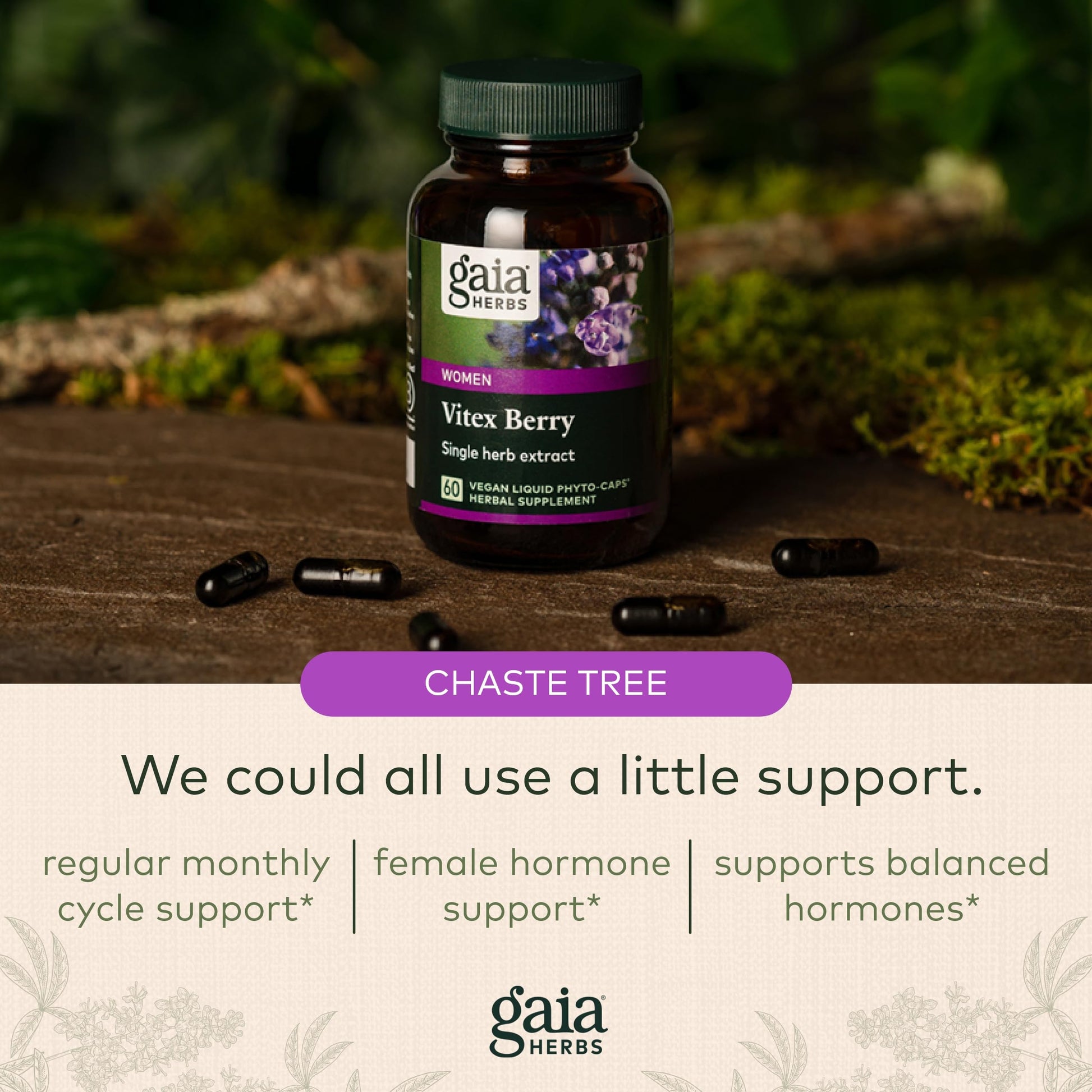 Gaia Herbs Vitex Berry (Chaste Tree) - Supports Hormone Balance & Fertility Gaia Herbs