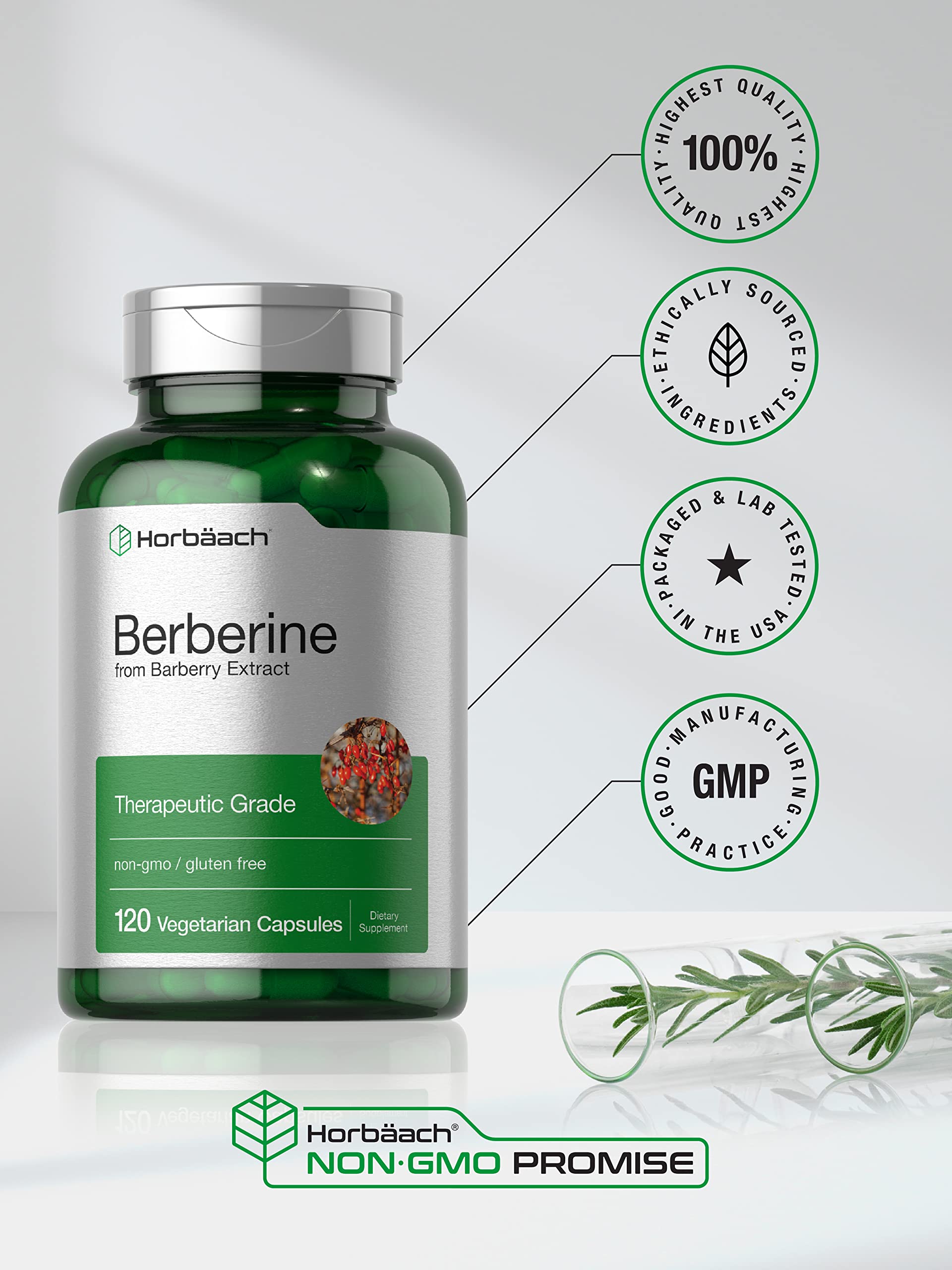 Berberine Supplement | 120 Capsules | Berberine HCl from Barberry Extract | Non-GMO Horbäach