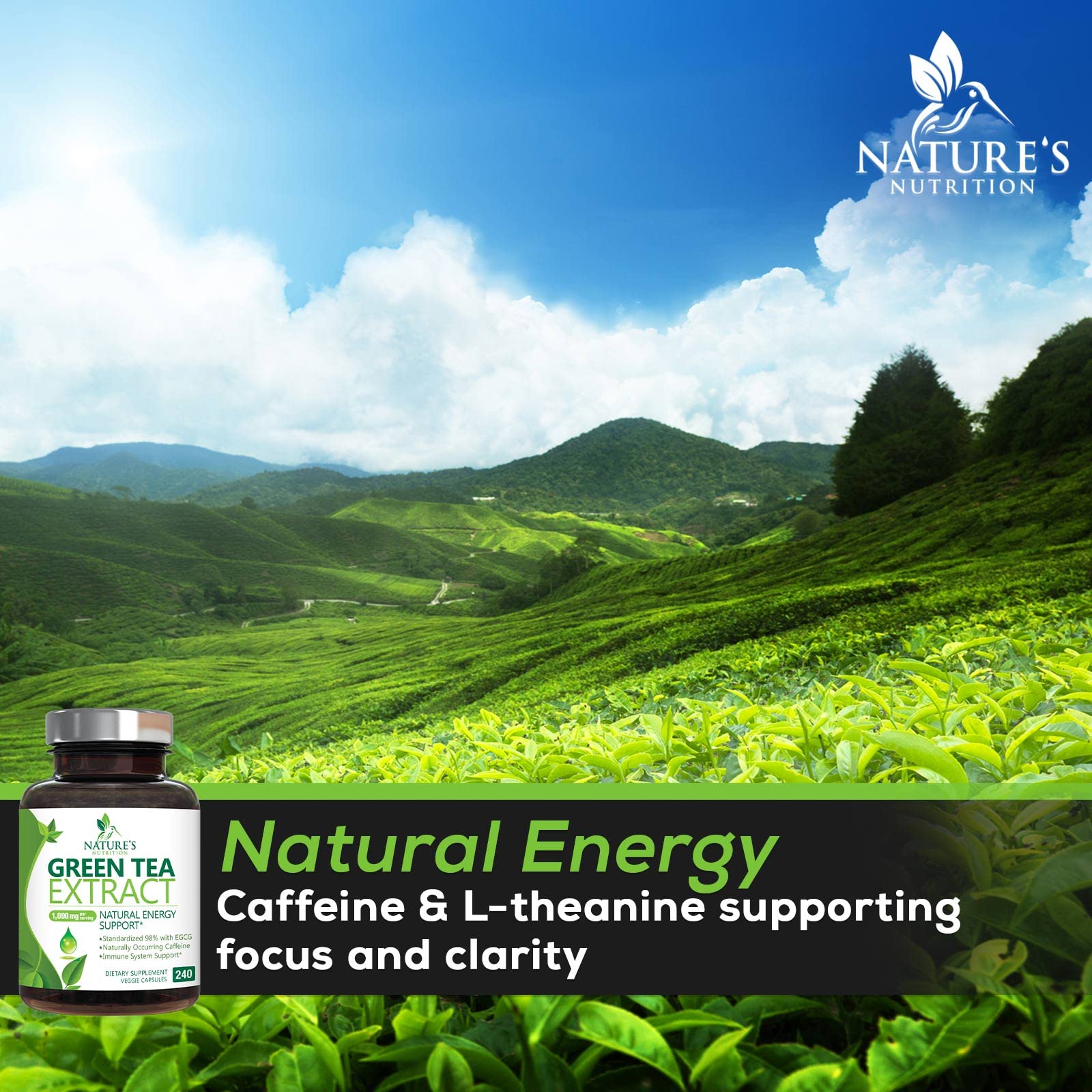 Green Tea Extract Capsules 1000mg 98% Standardized EGCG - 3X Strength for Natural Nature's Nutrition