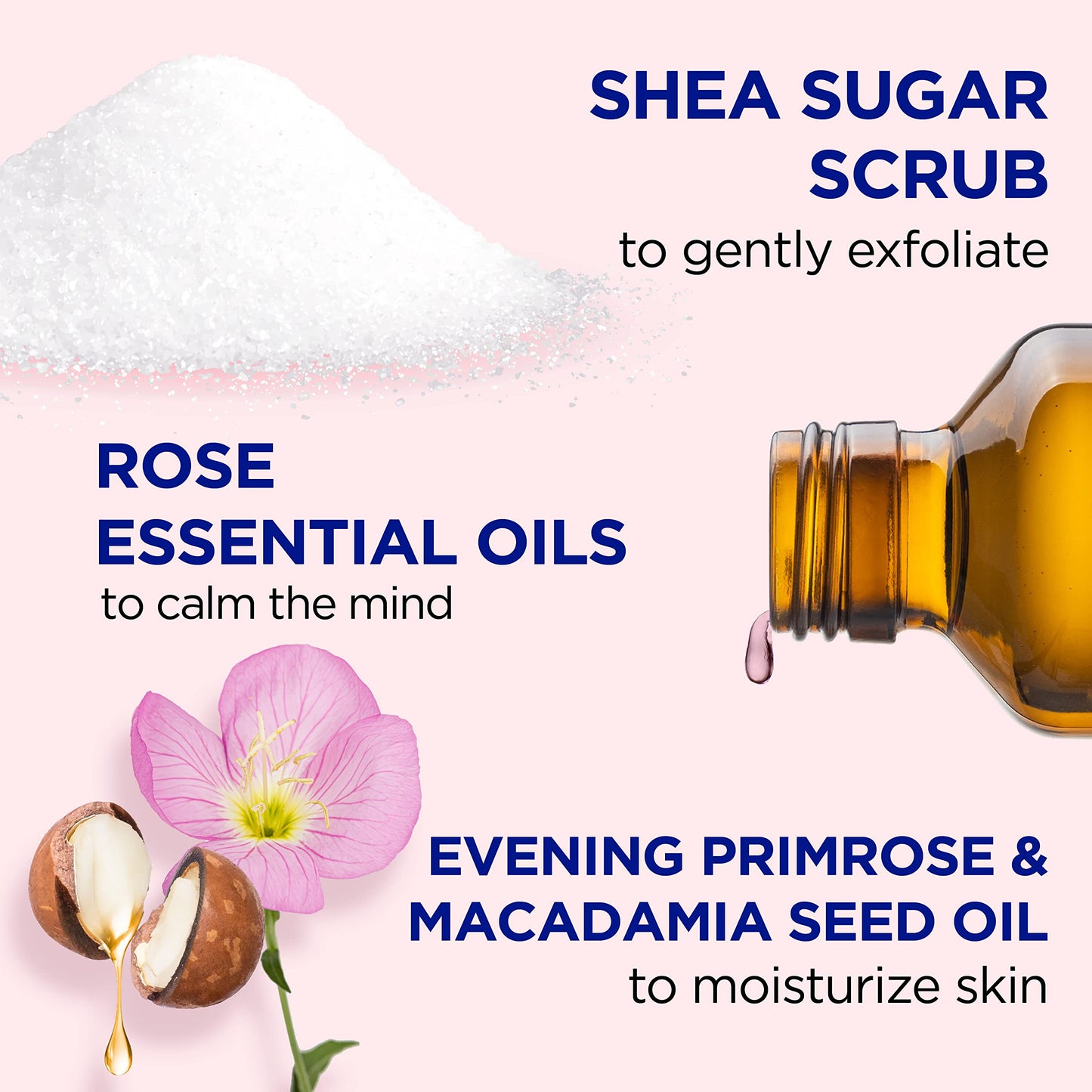 Dr Teal's Shea Sugar Body Scrub, Rose with Essential Oil, 19 oz (Pack of 3) Packaging May