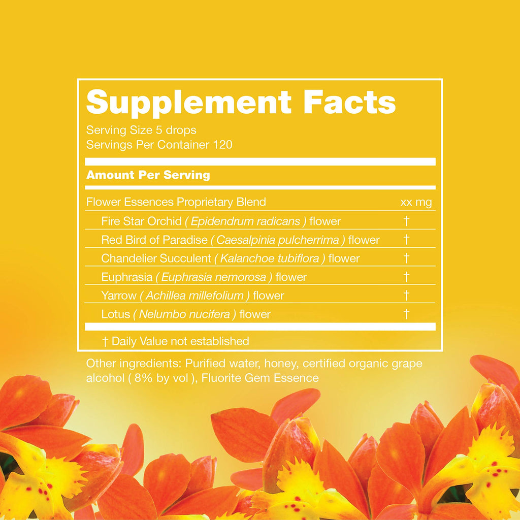 LOTUSWEI Inspired Action Flower Essence Elixir – Enhance Focus, Concentration, Mental Clarity & Creativity – Flower Remedy Supplement