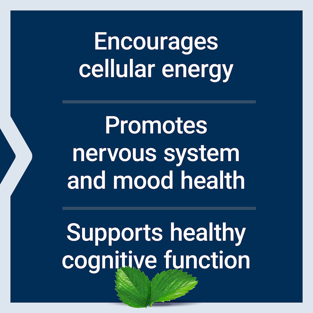 Life Extension Acetyl-L-Carnitine, Acetyl-L-Carnitine, vitamin C, Brain, mood & nerve health
