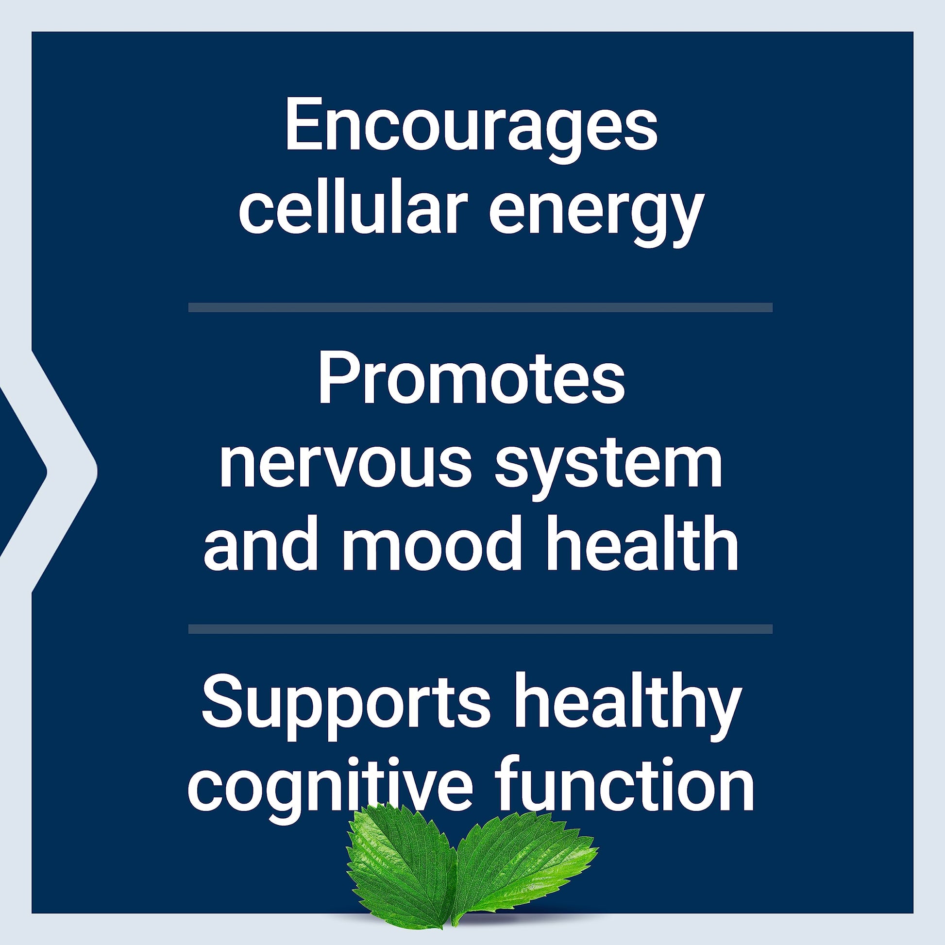 Life Extension Acetyl-L-Carnitine, Acetyl-L-Carnitine, vitamin C, Brain, mood & nerve health Life Extension
