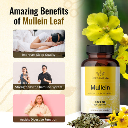 HERBAMAMA Mullein Leaf Capsules Respiratory Health - Organic Mullein Leaf Extract