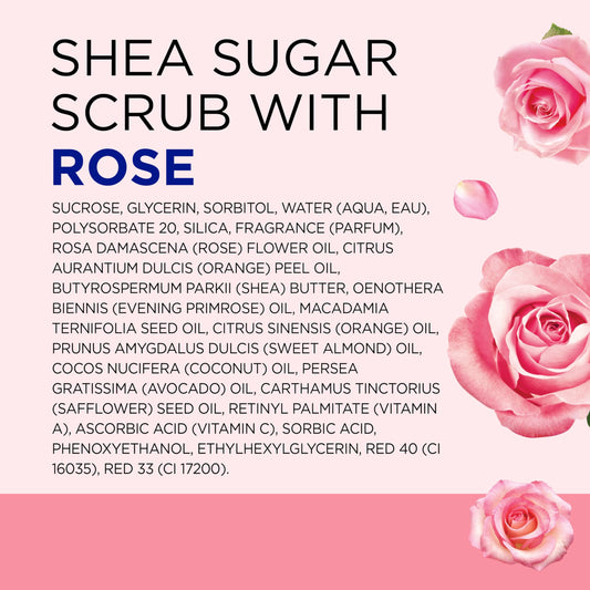 Dr Teal's Shea Sugar Body Scrub, Rose with Essential Oil, 19 oz (Pack of 3) Packaging May