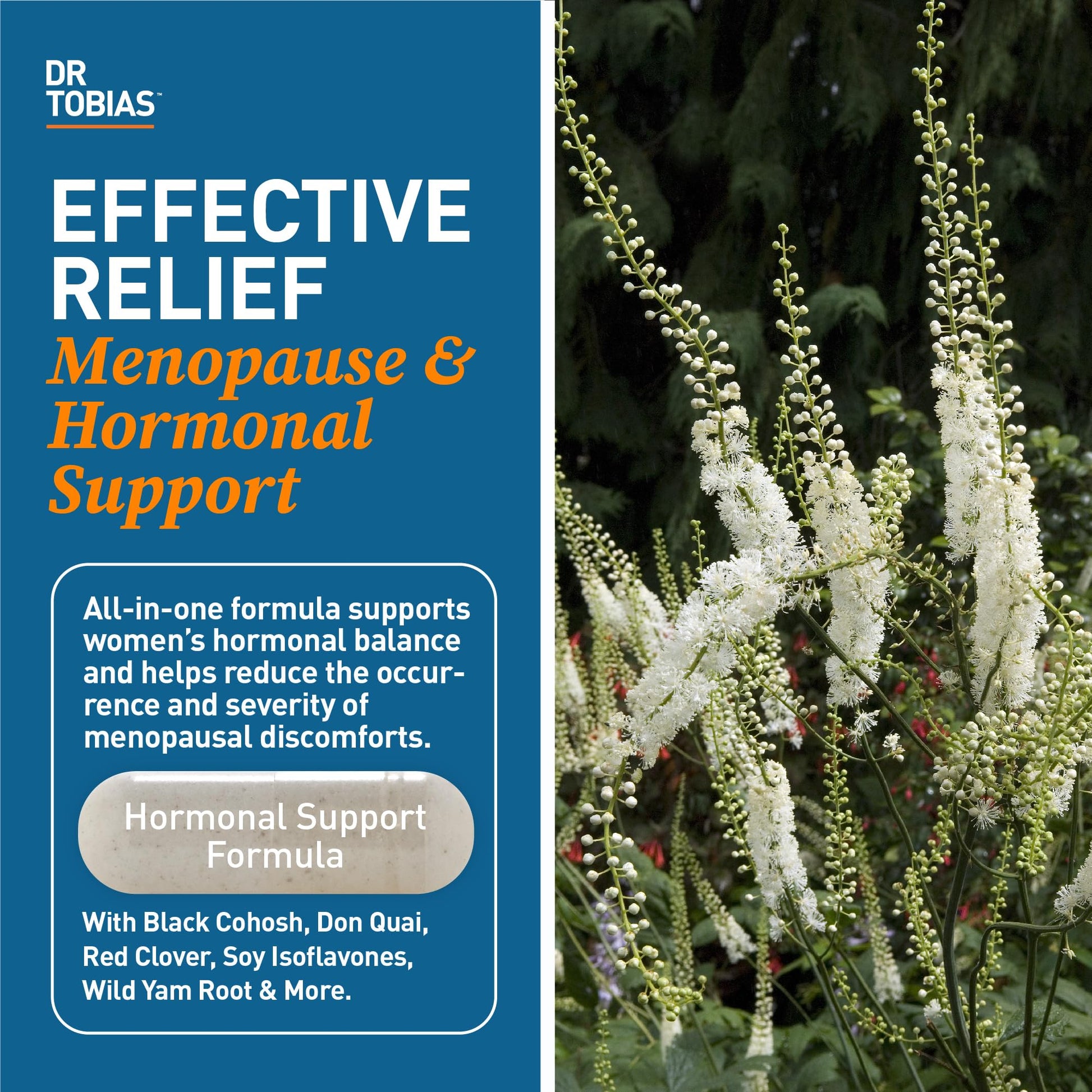 Dr. Tobias Menopause Relief Supplement with Black Cohosh, Soy Isoflavones, and Don Quai Dr. Tobias