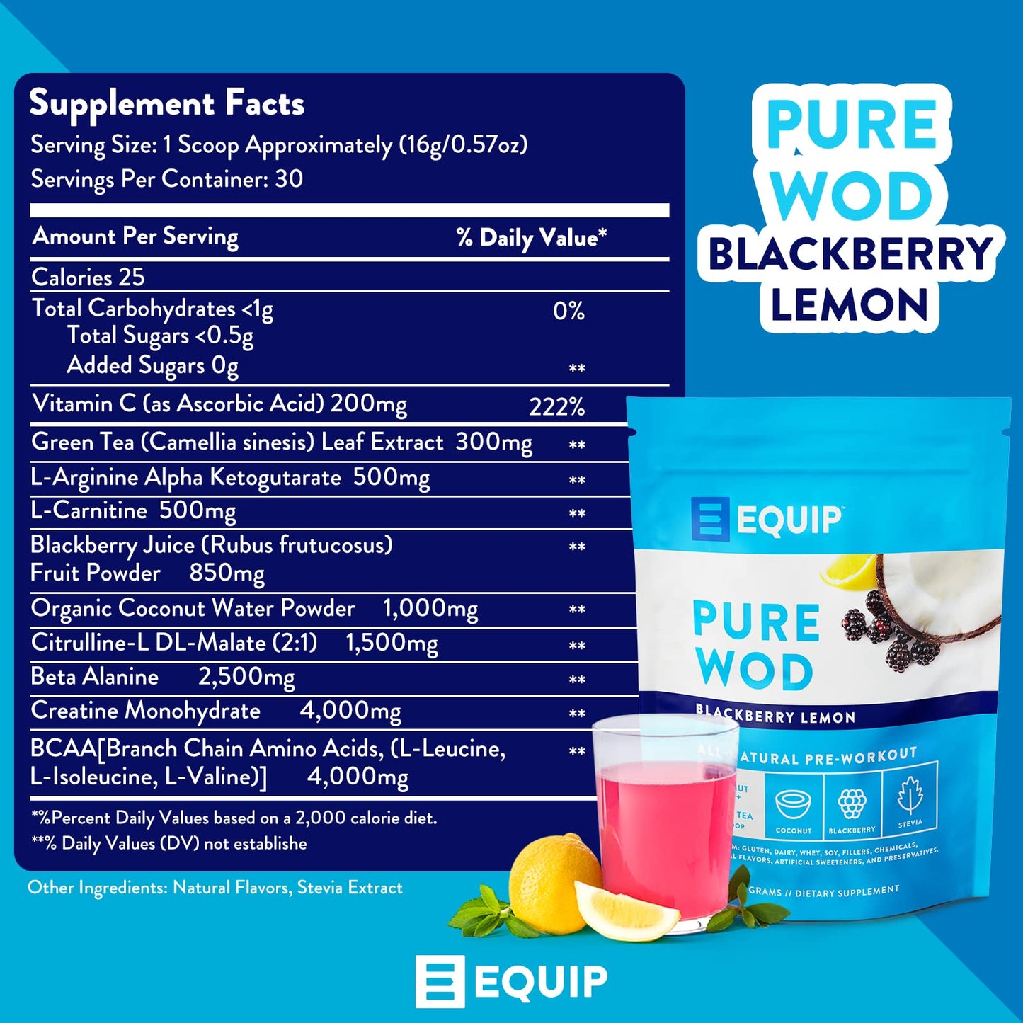 Equip Foods PureWOD All Natural Pre-Workout Powder - 200mg Green Tea Caffeine, BCAA