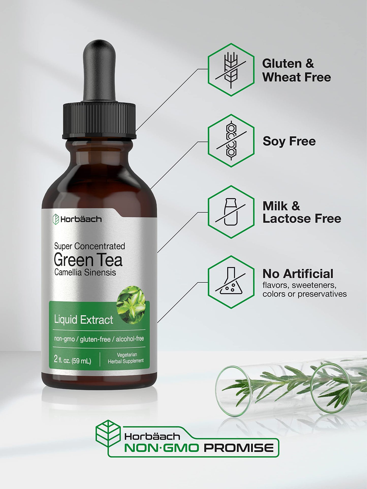 Green Tea Extract Liquid | 2 Fl Oz | Alcohol Free, Vegetarian Tincture | Super Concentrated