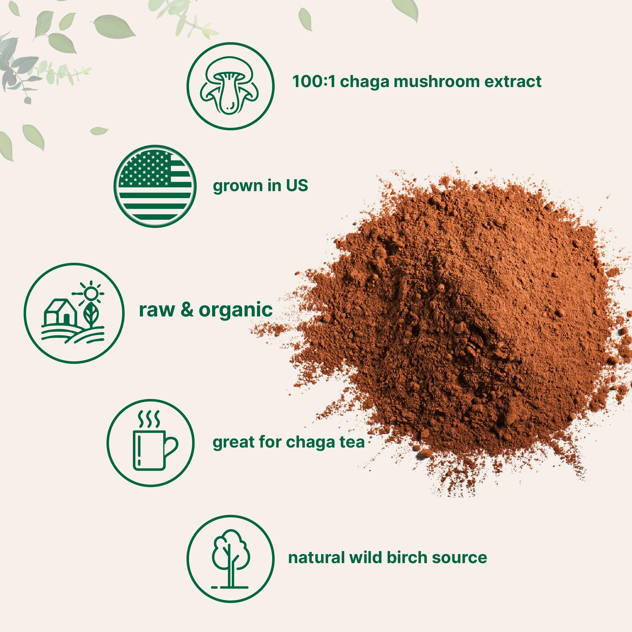 Micro Ingredients Organic Chaga Mushroom Extract 100:1 Powder, 10 Ounce Micro Ingredients